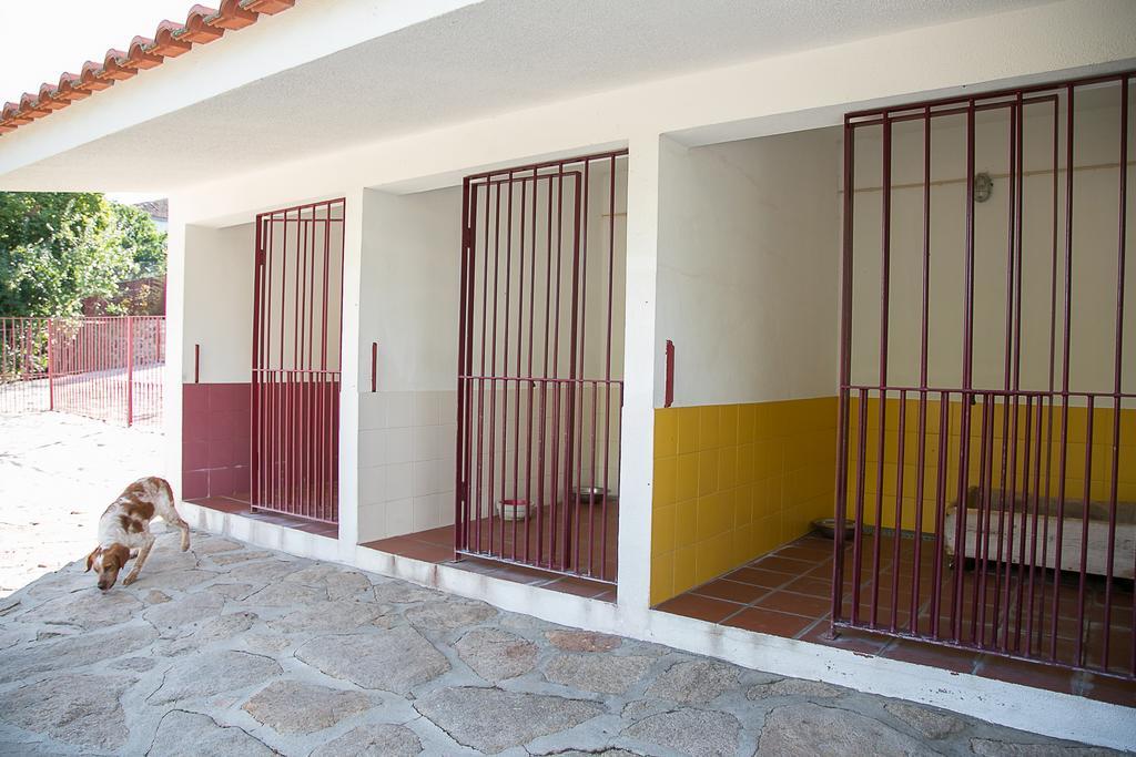 Solar Dos Almeidas - Turismo De Habitacao Bed and Breakfast Trancoso Esterno foto